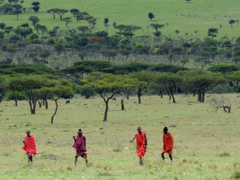Maasai people walking in a grassland