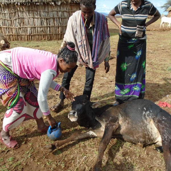 pastoralists in Ethiopia