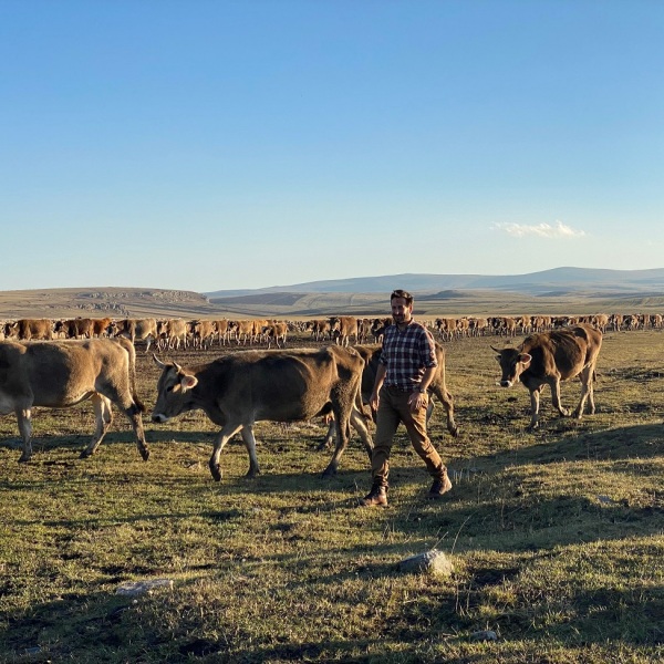 A shepherd stands in a large open grassland with a herd of cattle, with a blue sky overhead.