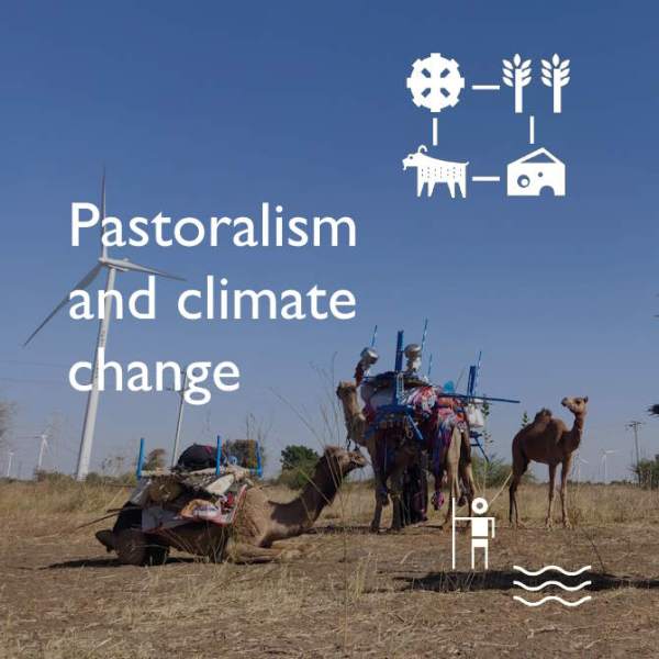 Pastoralism and climate change